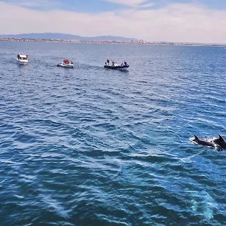 Bermudas By Algarve Vacation Villa Albufeira